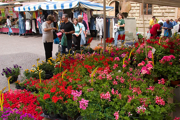 Open Market, Greve in Chianti, Italy