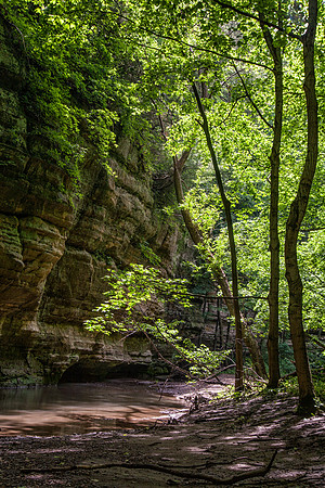 Illinois Canyon, Starved Rock State Park, IL