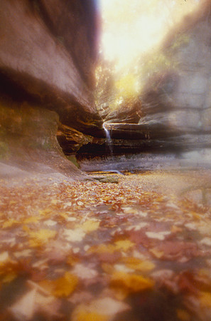 Autumn in LaSalle Canyon, Starved Rock State Park, IL