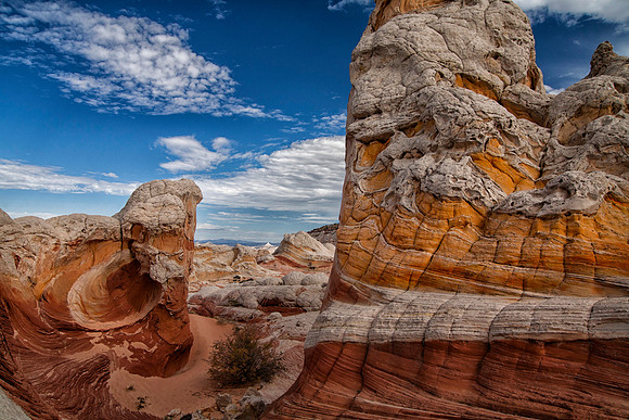 Petrified Dunes, Vermillion Cliffs National Monument, AZ (October 31, 2014, 12:14pm)