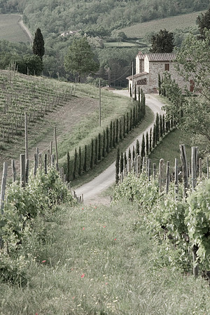 Path and Villa, Il Molino di Grace I, Panzano, Italy