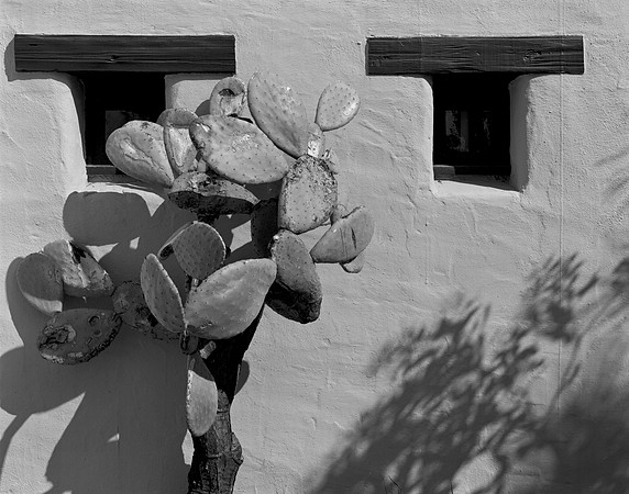 Ranger Station, Torrey Pines State Reserve, CA