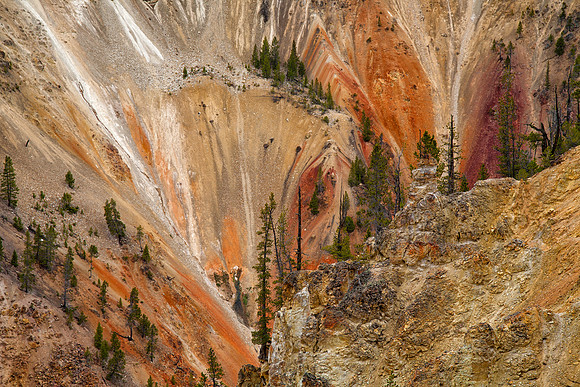 Grand Canyon of the Yellowstone, Yellowstone National Park, WY
