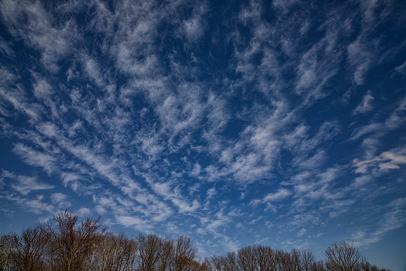 Upper Meadow Sky