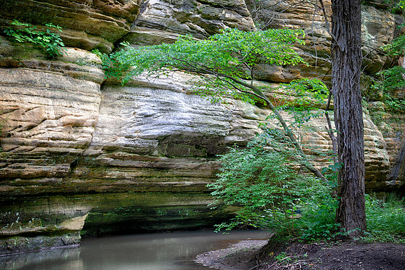 Starved Rock State Park, IL
