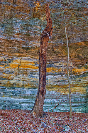 Canyon Colors, Starved Rock State Park, IL