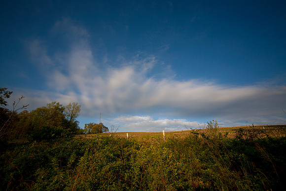 Morning, Lower Meadow