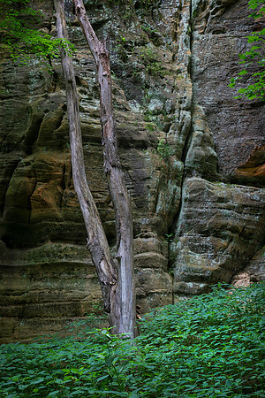 Starved Rock State Park, IL