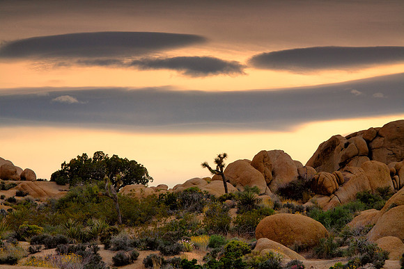 Lenticular Clouds at Sunset, Jumbo Rocks, Joshua Tree National Park, CA