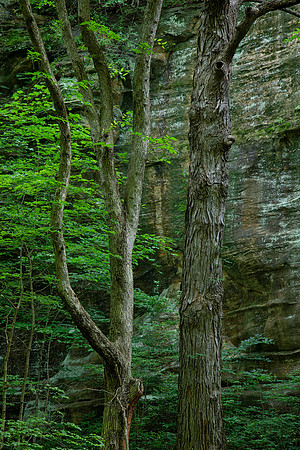 Starved Rock State Park, IL