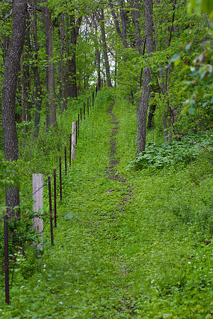 Path and Fence I