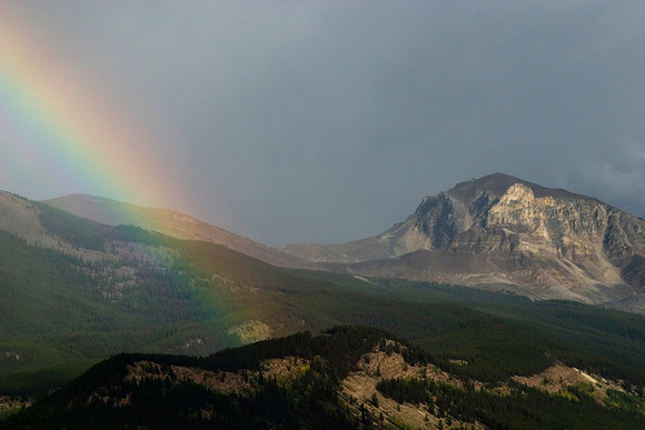 Rainbow, Jasper Townsite, Alberta, Canada