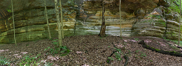 Illinois Canyon, Starved Rock State Park, IL