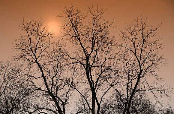 Winter Sun