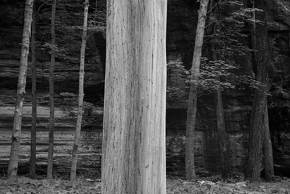 Starved Rock State Park, IL