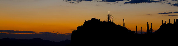 Saguaro National Park, Arizona