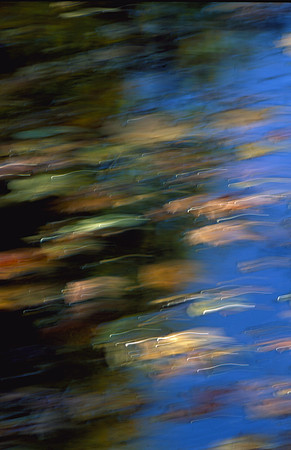 Autumn Leaves in Stream, Starved Rock State Park, IL