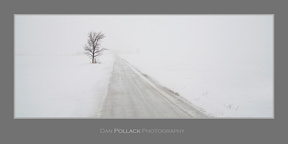 Winter Tree and Road, Central Illinois