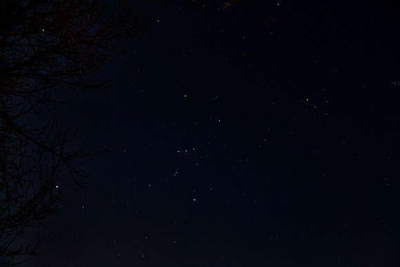 Orion