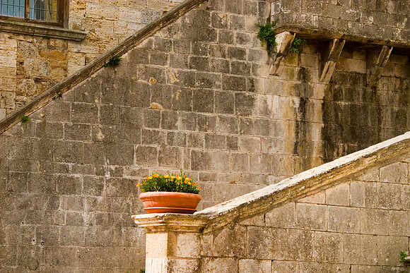 Planter and Steps, San Gimignano, Italy
