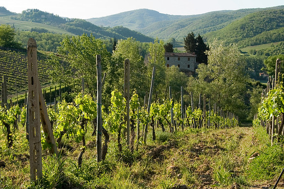 Il Molino di Grace, Panzano, Italy