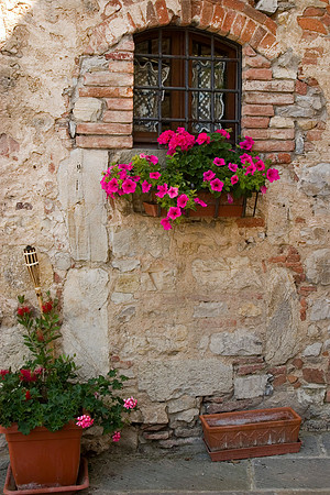 Windows and Flower Boxes, Vertine, Italy