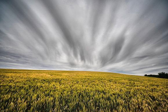 Hillside Near Palouse, WA