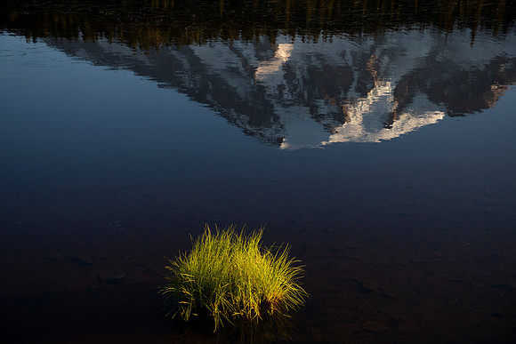 Still Reflection, Mt Rainier National Park, WA