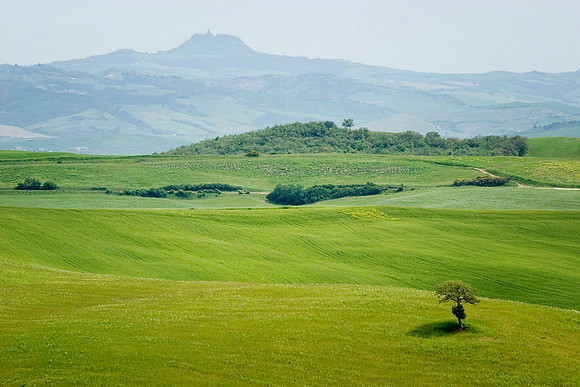 Tuscan Hillside, Italy