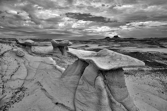 Wings, Bisti/De-Na-Zin Wilderness, NM