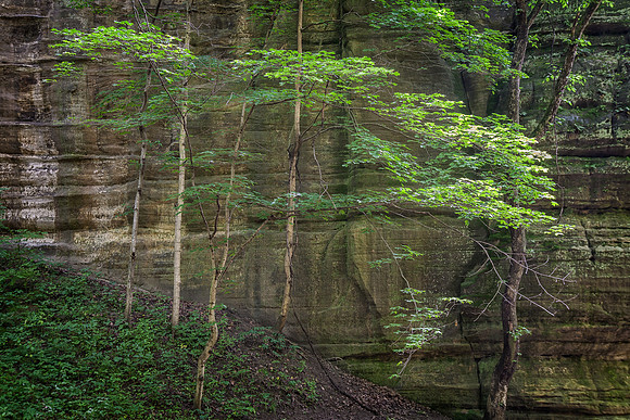 Illinois Canyon, Starved Rock State Park, IL
