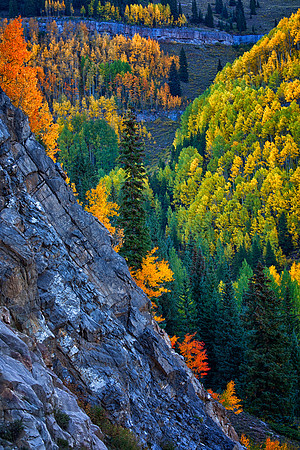 Autumn Color, San Juan Mountains, CO