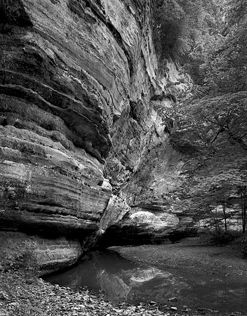 Cliff, Illinois Canyon, Starved Rock State Park, IL