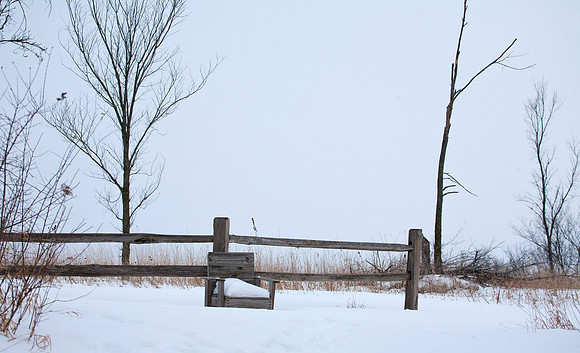 Bench and Fence, Upper Meadow