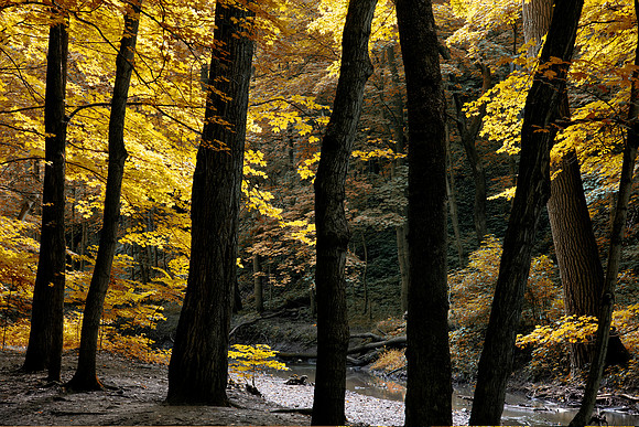 Autumn, Starved Rock State Park, IL