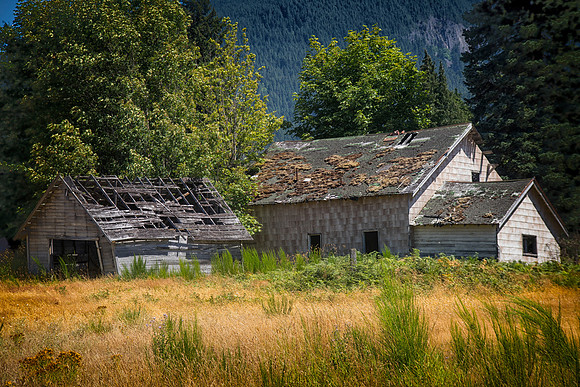 Abandoned House, Packwood, WA