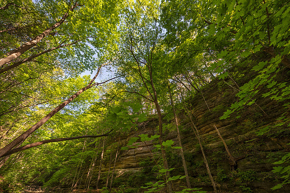 Matthiessen State Park, IL