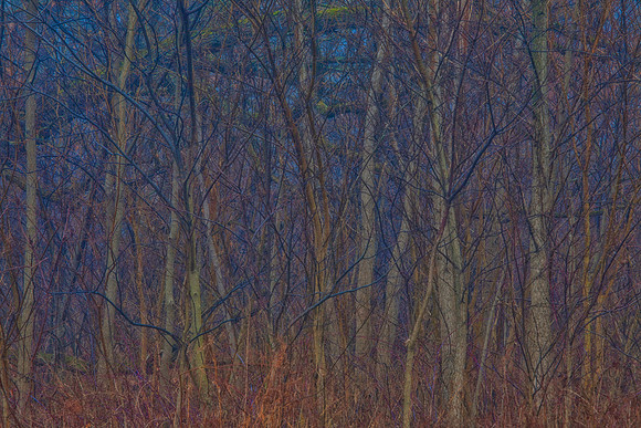 Elburn Forest Preserve, Elburn, IL