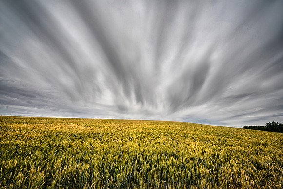 Hillside Near Palouse, WA