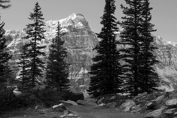 Peaks and Pines, Moraine Lake, Banff National Park, Canada