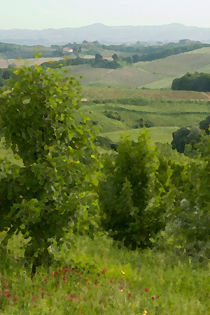 San Gimignano Hillside, Italy