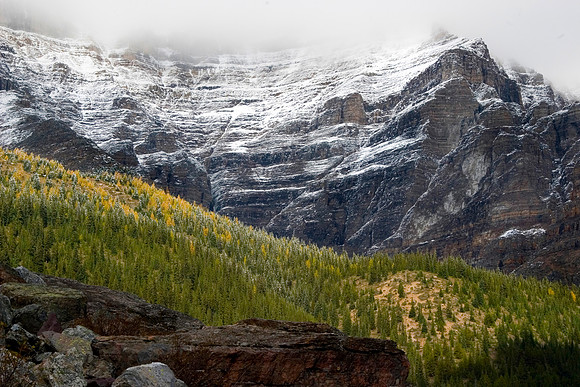 Brisco Range, Kootenay National Park, Canada