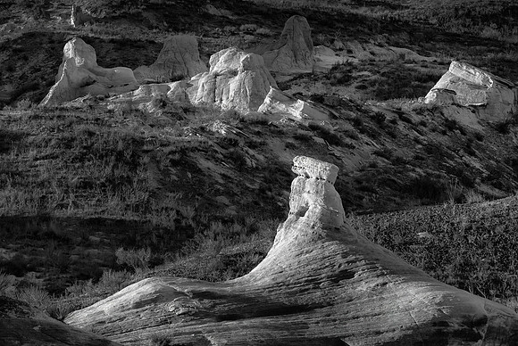 Petrified Dunes, AZ