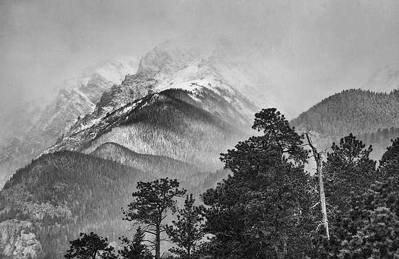Winter Fog, Rocky Mountain National Park, CO
