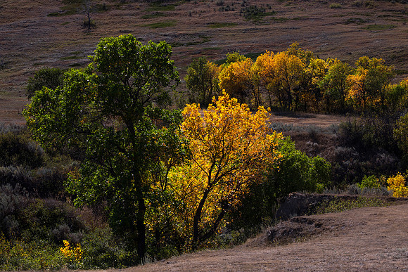 Theodore Roosevelt National Park, WY