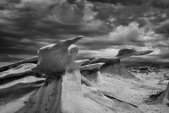 Stone Wings, Bisti/De-Na-Zin Wilderness,  NM