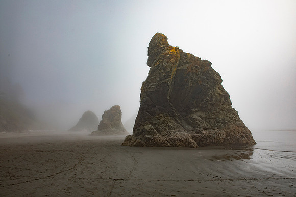 Sea Stacks in Fog, Olympic National Park, WA