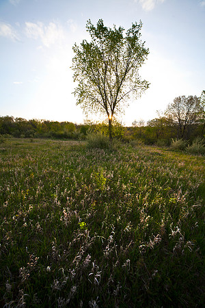 Upper Meadow Sunrise