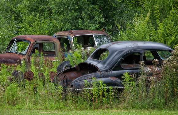 Out Back, Eleroy, IL