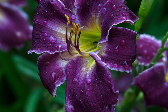 Indian Giver, After the Rain